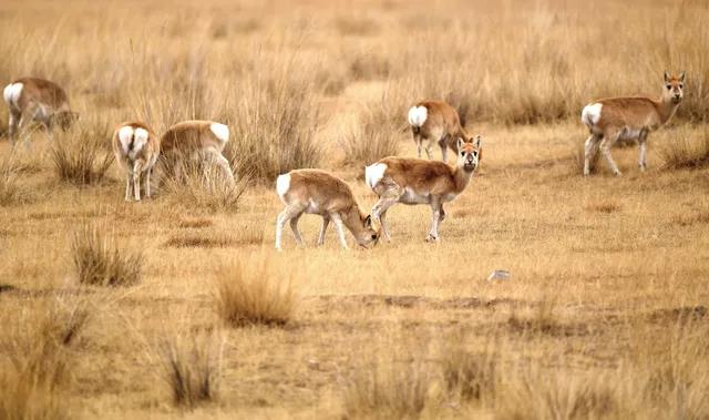 3f0c32085a2d81f4b7d32d2d00716e38.jpg 003.jpg