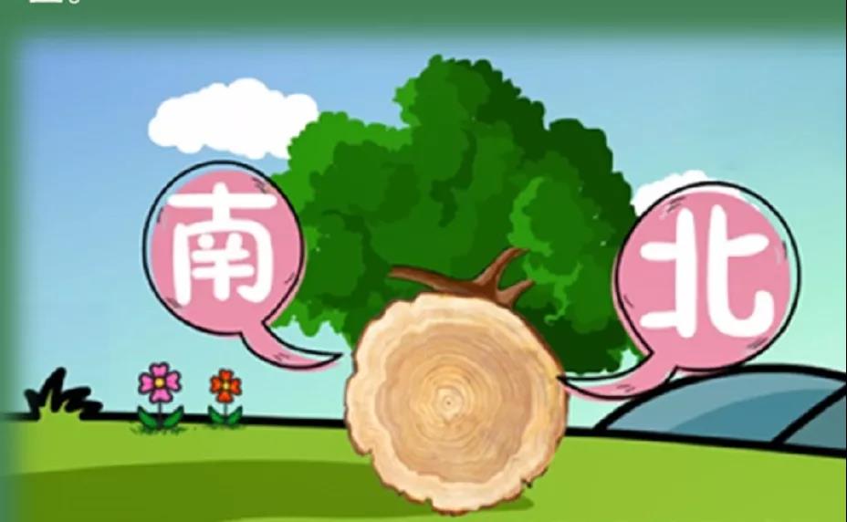 森林&ldquo;迷路&rdquo;脫險(xiǎn)自救寶典