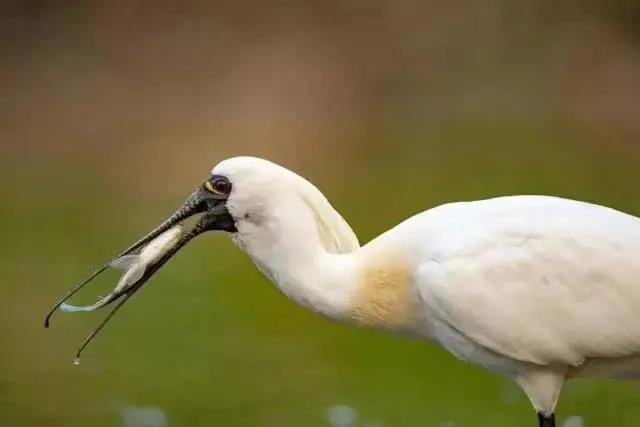 cc8cb70fc4bd8d4b26cc6f1774f8de9d.jpg 03.jpg