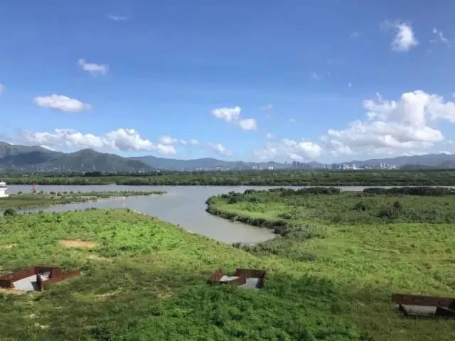 d8a57ee5892f20842bcaefd99f78bad1.jpg 04.jpg