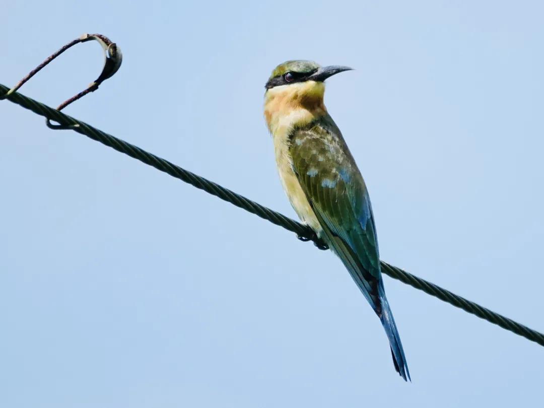 1a1198bd9b9dd9d94b8ef58b68aa92c7.jpg 004.jpg