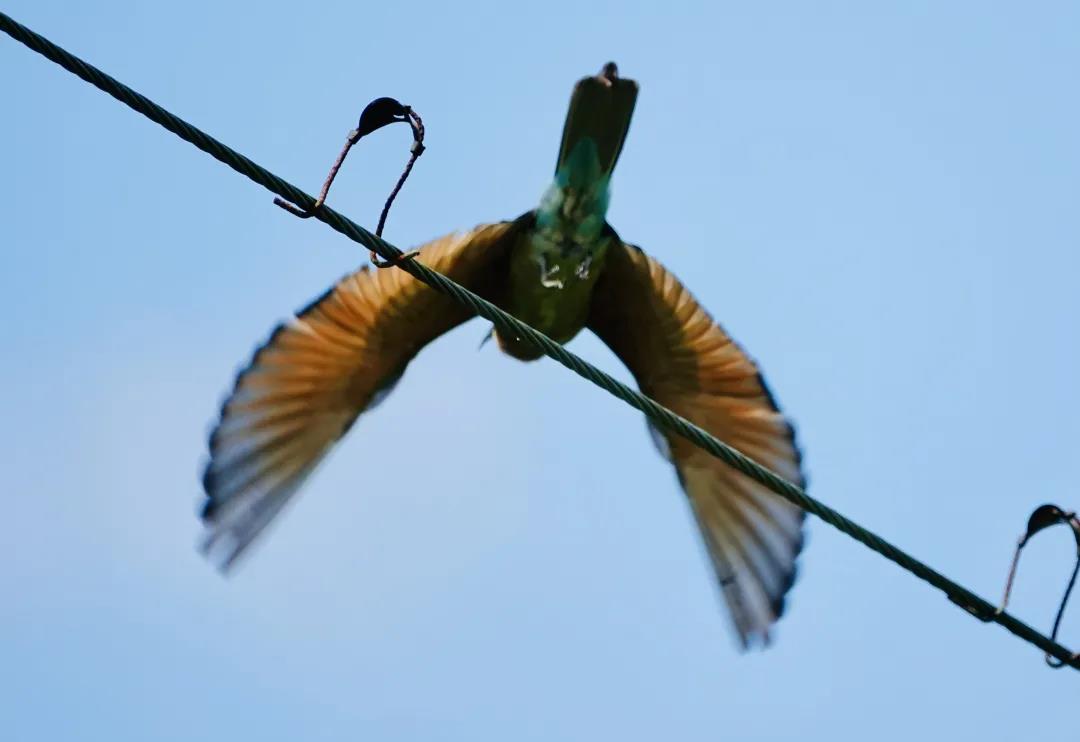 44dd943af6780eb67e8cd6d475eea044.jpg 003.jpg