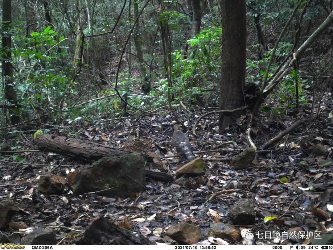 05fc5cb6424e02f1c8beead08dfa3875.jpg 010.jpg