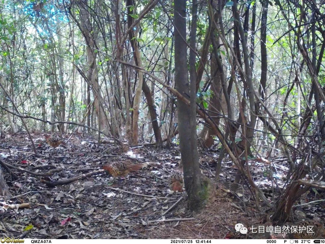 1b38319f4f4d850aaf9bde9081b637ff.jpg 019.jpg