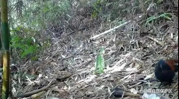 dce526727f0dff49d5110995da605f4b.jpg 012.jpg