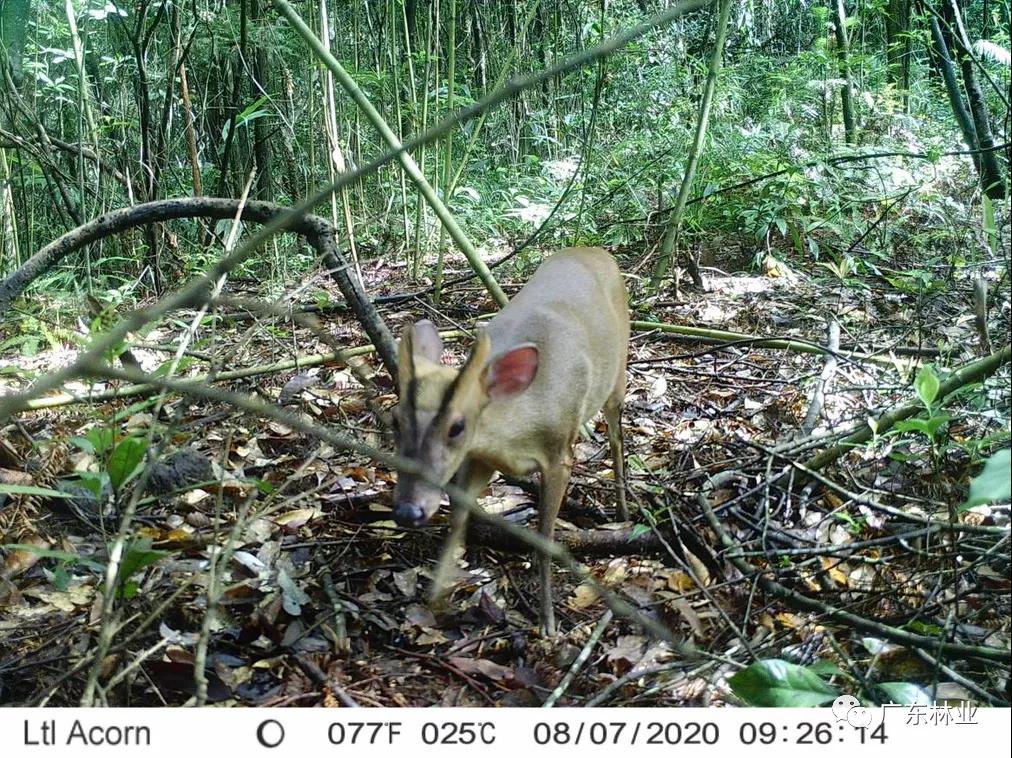 63c85ce07e45f5aaf254586bf07fd820.jpg 006.jpg