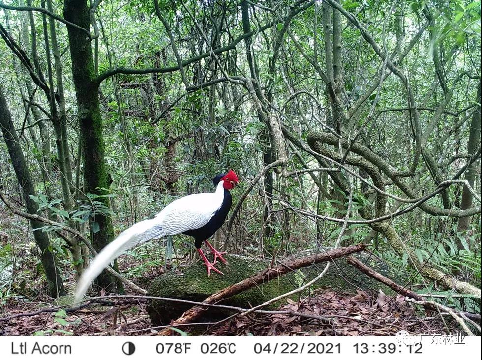 c0e2fbc41863798316c04e2e9affd3e3.jpg 001.jpg