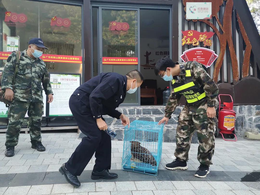 9052da7d151ed7d2602e521b95eb36a7.jpg 002.jpg