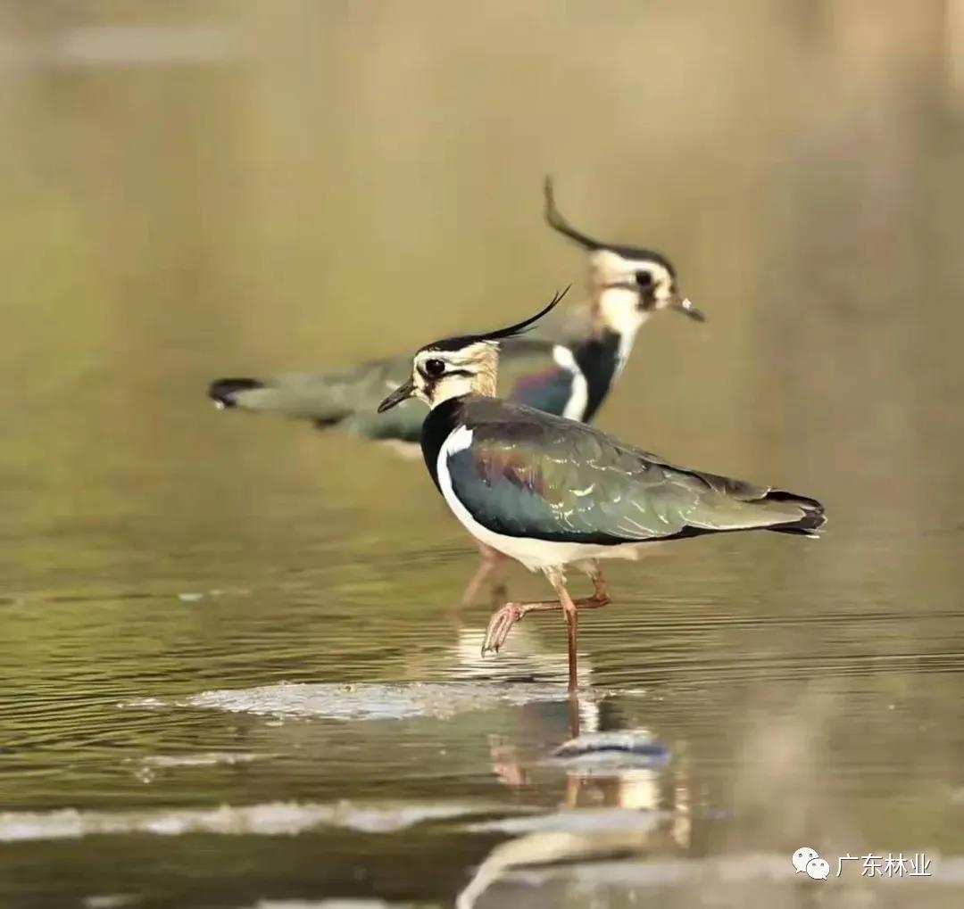 405498b2fc806c32bd69085ade2e7949.jpg 008.jpg