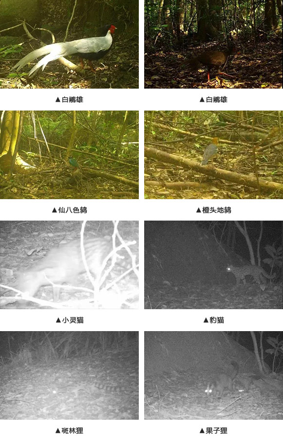 508f954a8a977c7fdc3552a487f77f89.jpg 101.jpg