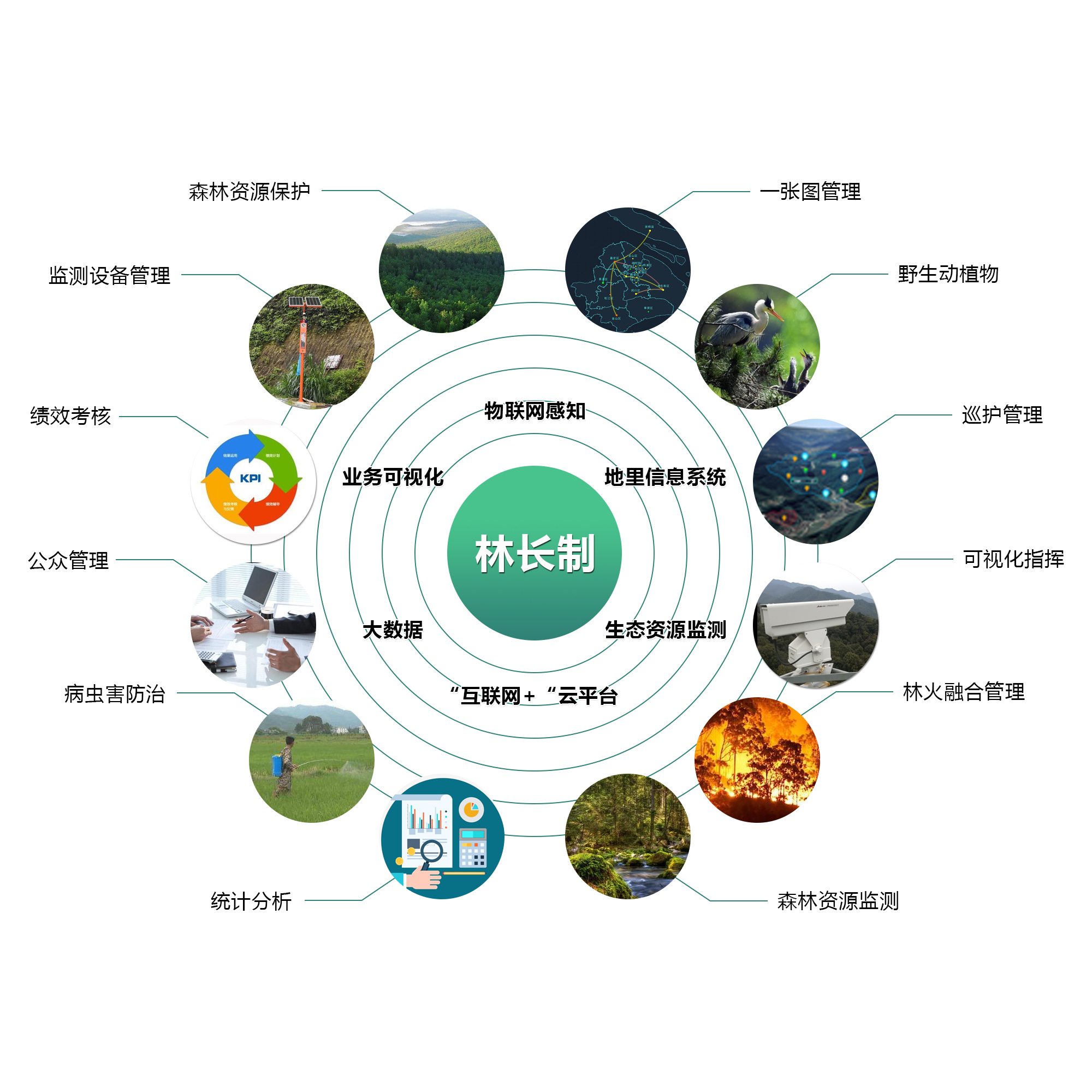 ebe9f65ff3f0c3a134e9a8d22c4809f8.jpg 林長(zhǎng)制.jpg