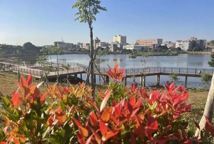 719882751e37f64444034b04c6f8a7b1.jpg 002.jpg