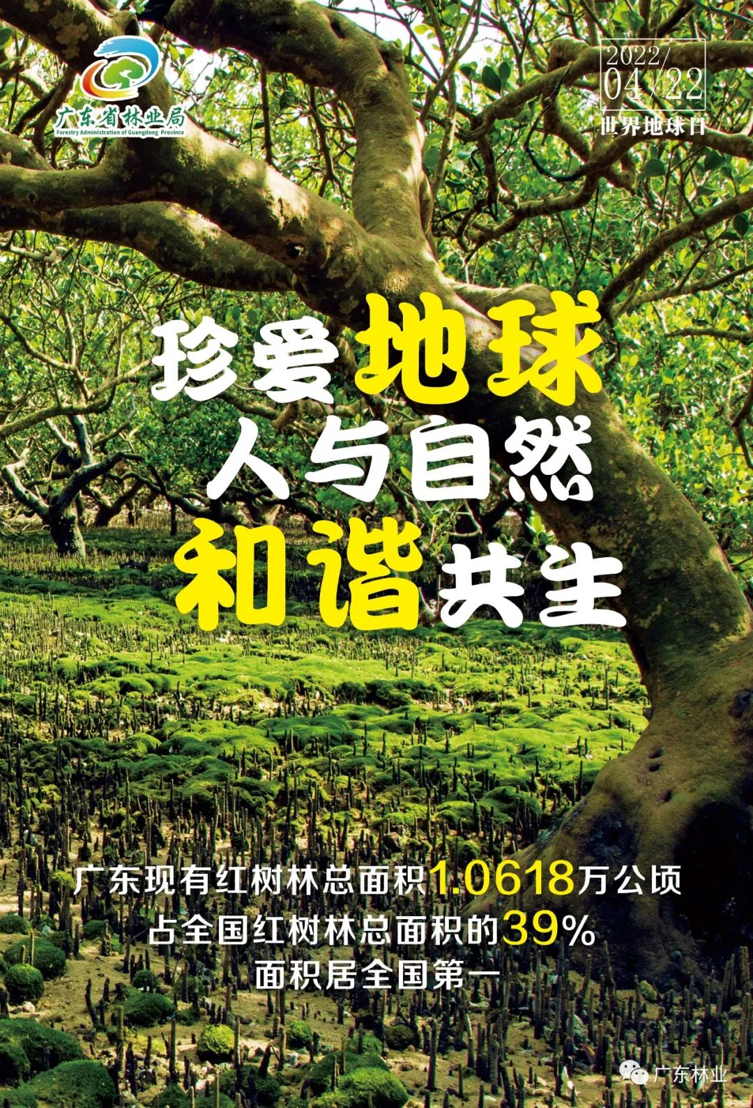 23dd5fc802931639bf5c7f834078562a.jpg 003.jpg