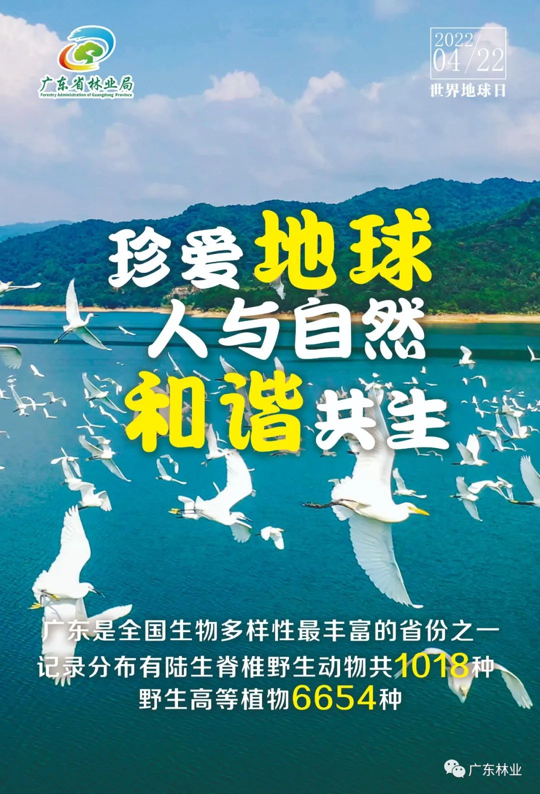 a9fd42c19378a36a36523bb27856c1e2.jpg 004.jpg