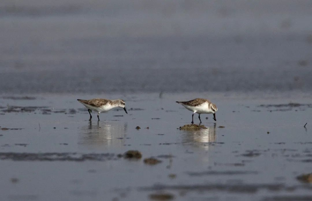 7acdee0a052a34eddcafd577c267800b.jpg 004.jpg