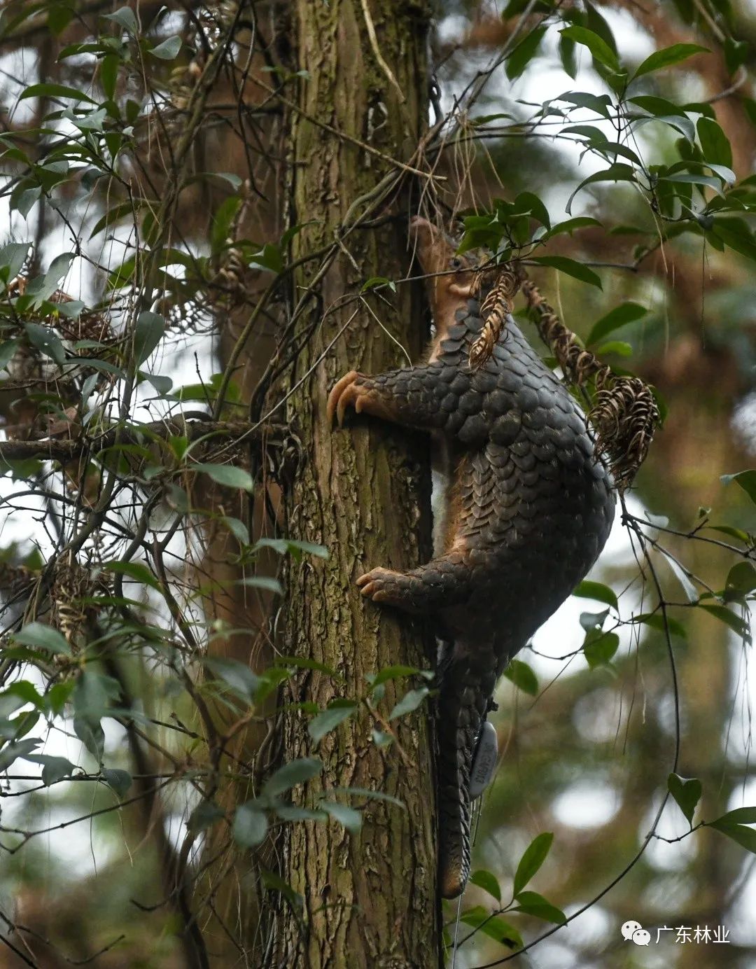 88e11f4d0a409e93132c6cbfae9ed9cd.jpg 005.jpg