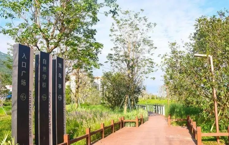 2c118833060151d67e35461a7fcf973e.jpg 003.jpg