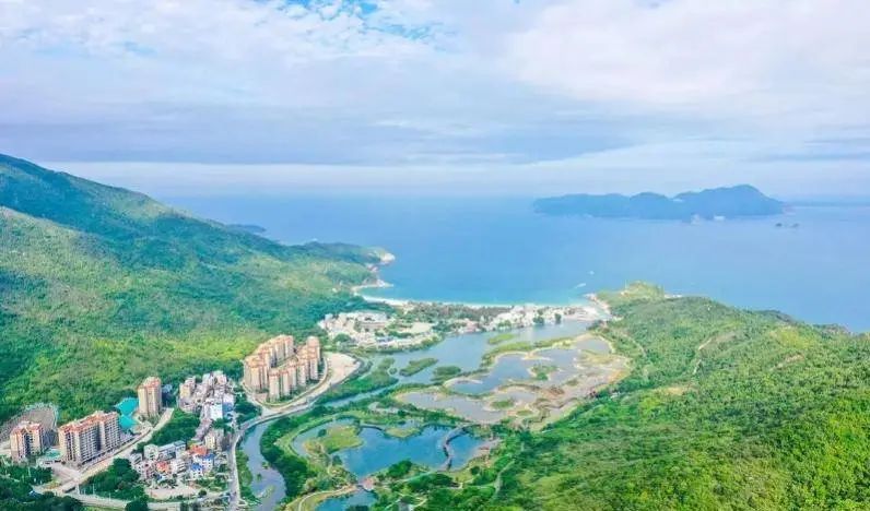 即將對(duì)外開(kāi)放！深圳大鵬新建一紅樹(shù)林濕地公園