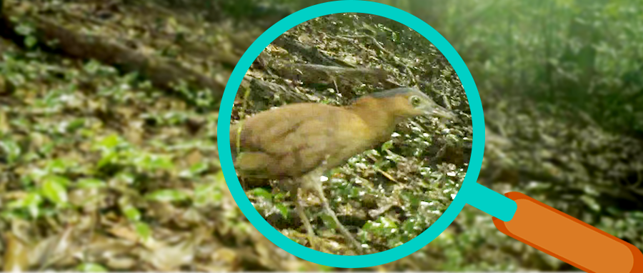 07cda2aa00dfb888a07d67f38ad5ee67.png 001.png