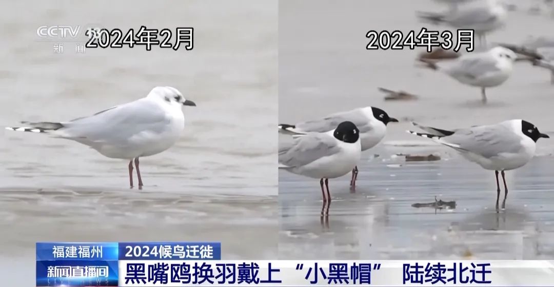 2ed5c44a91b8a03b23e79fc7b984a2c8.jpg 004.jpg